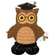 Balloon - Foil Graduate Wise Owl AirLoonz Balloon 96cm x 111cm Each