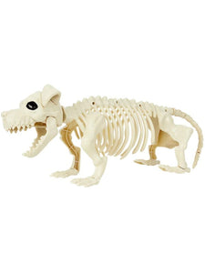 Decorations - Props Dachshund Dog Skeleton Prop