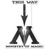 Harry Potter Decal 10cm x 8cm Each