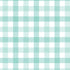 Pastel Mint Gingham Lunch Napkin FSC 16pk