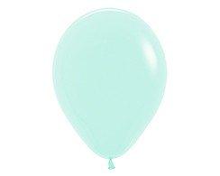 Amscan_OO Balloon - Plain Latex Pastel Matte Green Latex Balloons 30cm 100pk