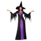 Costume Women 24 to 26 Classic Witch Women Costume Each