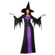 Amscan_OO Costume Women Classic Witch Women Costume Each